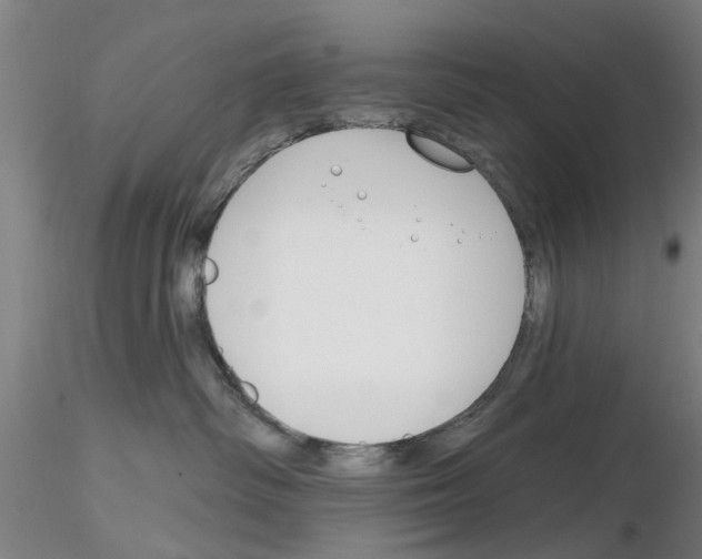X0000116160334201001041119