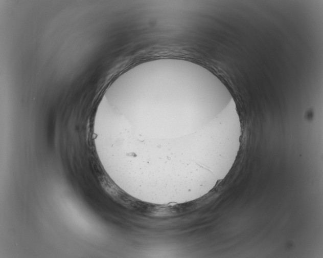 X0000116160335201001041119