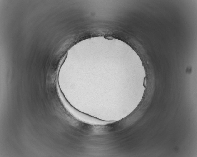 X0000116160336201001041119