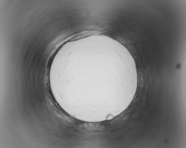 X0000116160338201001041119
