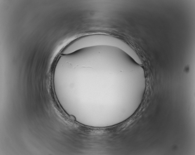 X0000116160342201001041119
