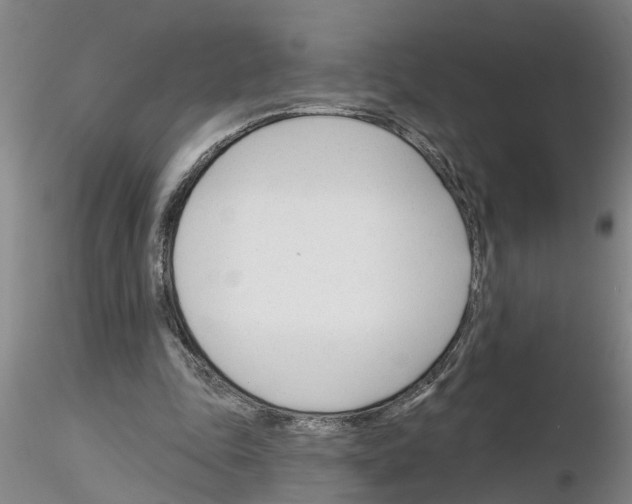 X0000116160343201001041119
