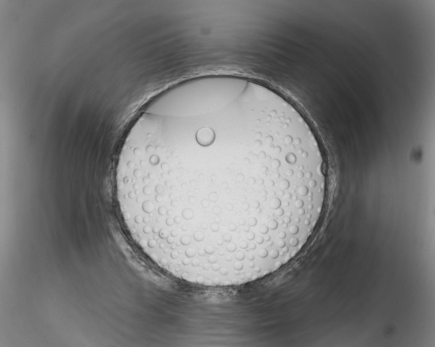 X0000116160345201001041119
