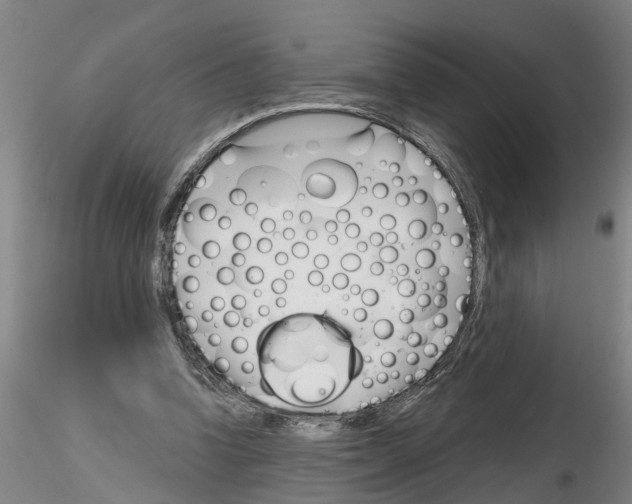 X0000116160346201001041119