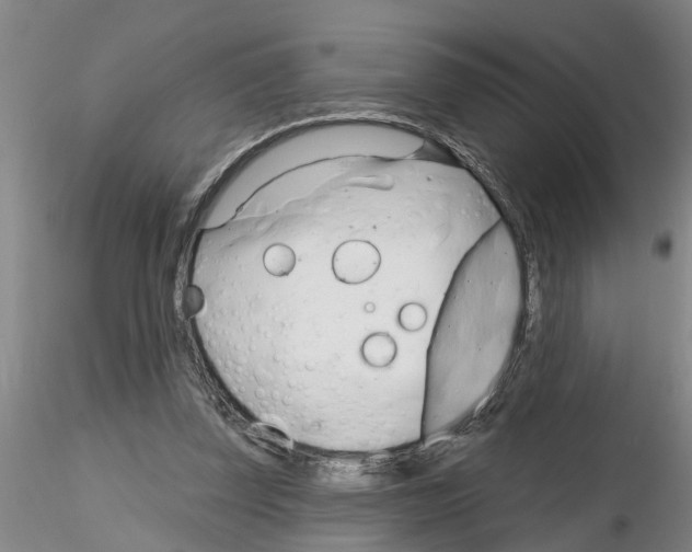 X0000116160347201001041119