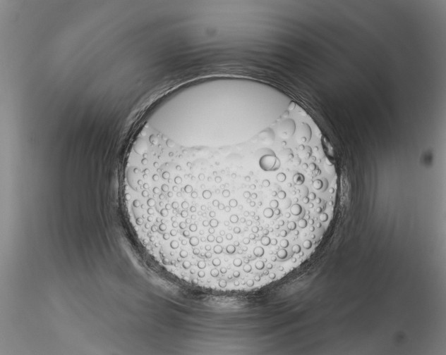 X0000116160349201001041119