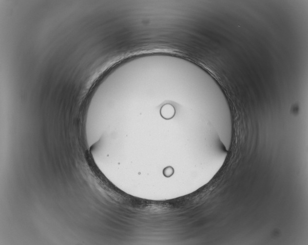 X0000116160350201001041119