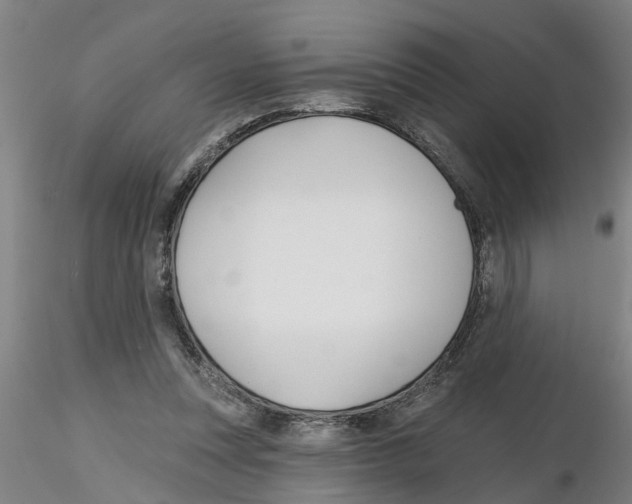 X0000116160351201001041119