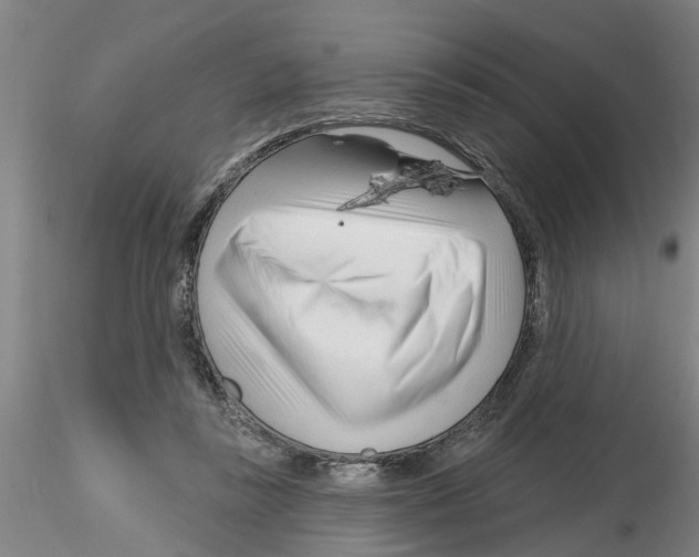 X0000116160355201001041119