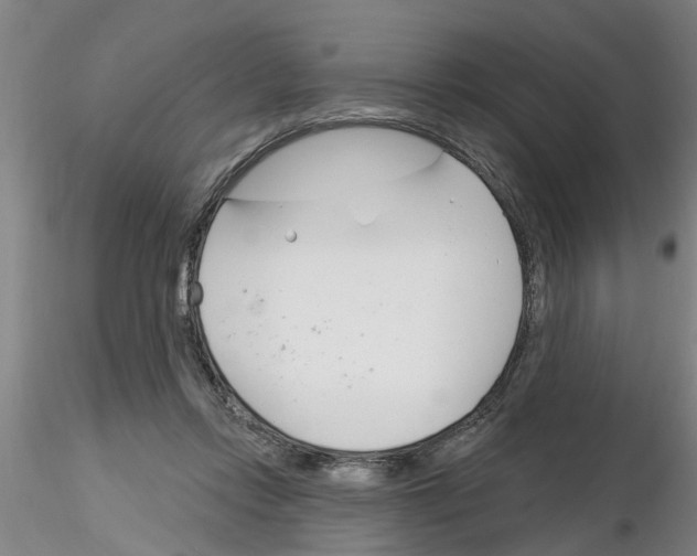 X0000116160358201001041119