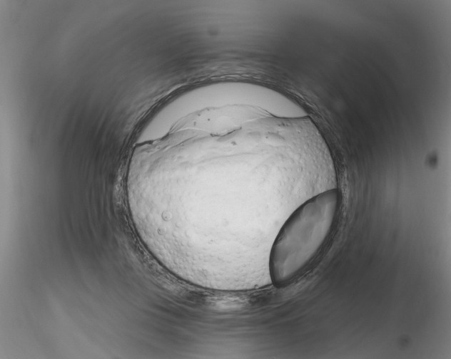 X0000116160359201001041119