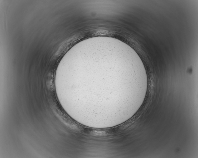 X0000116160361201001041119