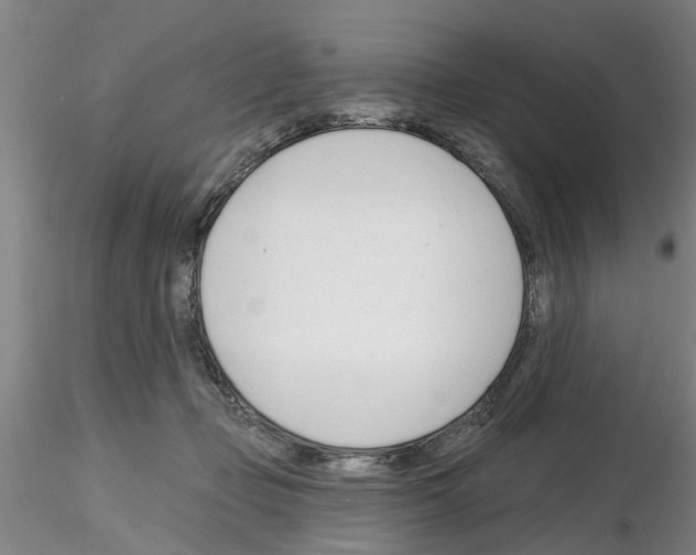 X0000116160365201001041119