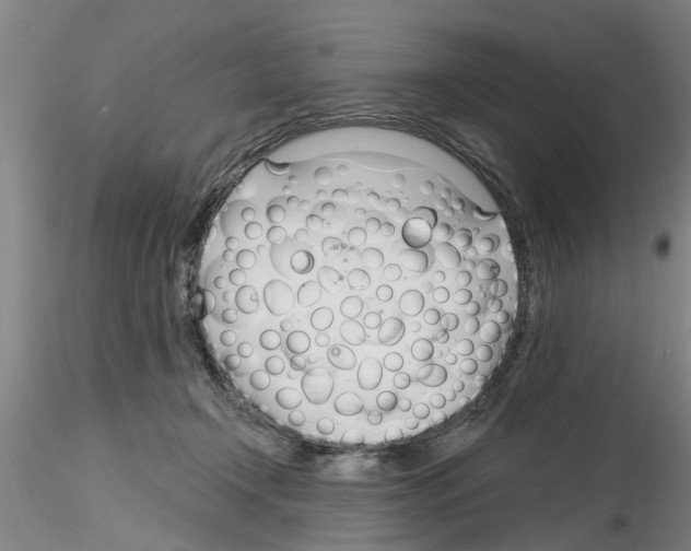 X0000116160366201001041119