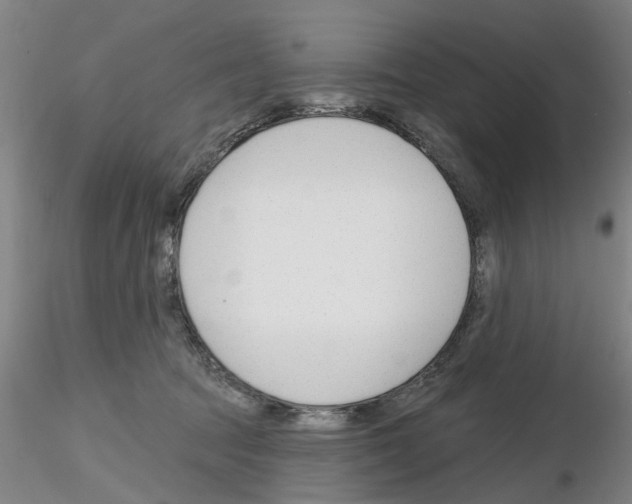 X0000116160369201001041119