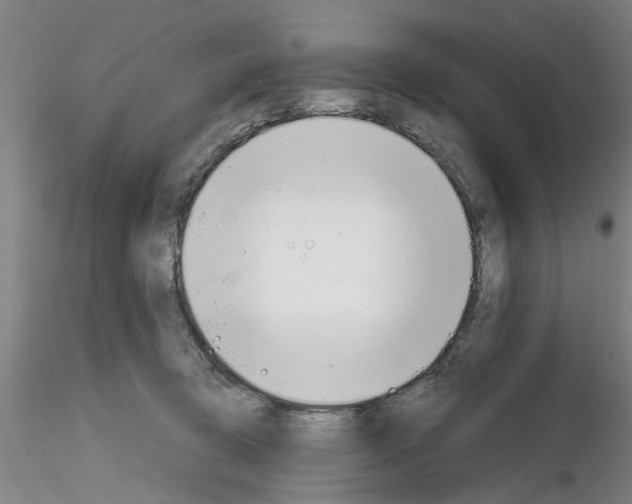 X0000116160370201001041119