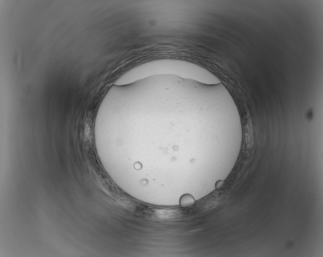 X0000116160371201001041119