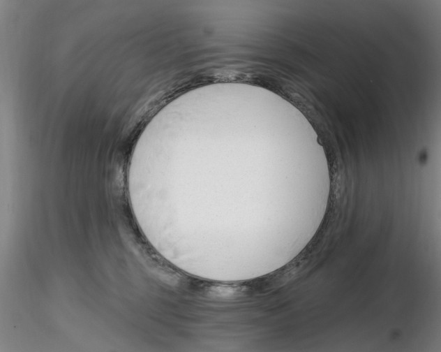 X0000116160375201001041119