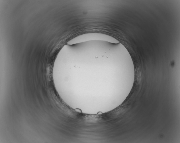 X0000116160378201001041119
