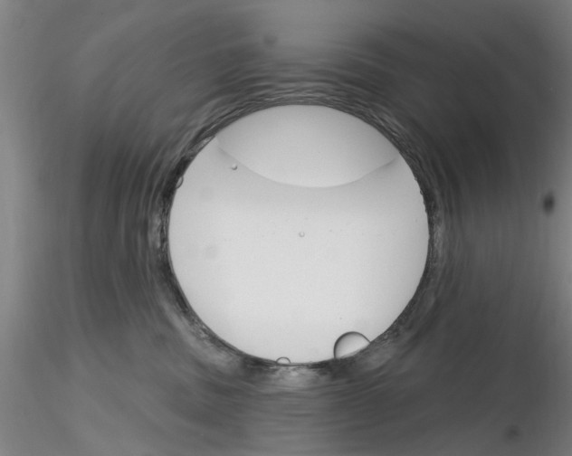 X0000116160379201001041119