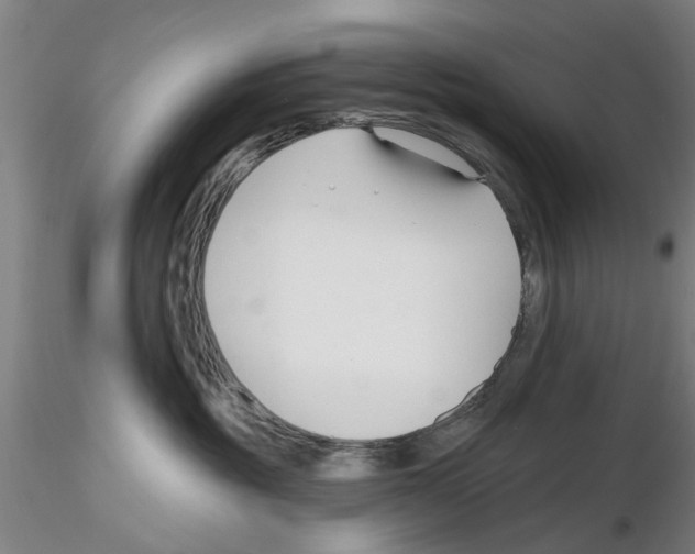 X0000116160381201001041119