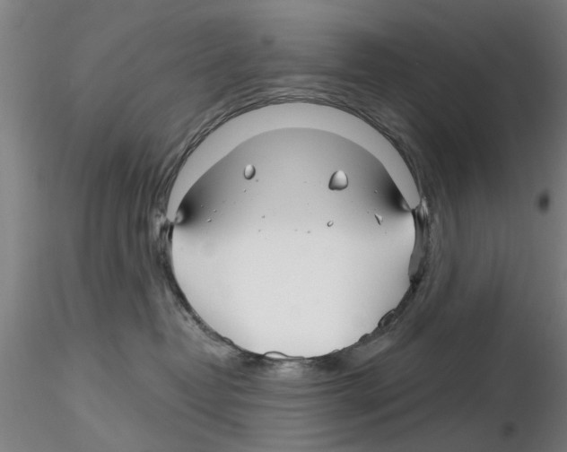 X0000116160382201001041119