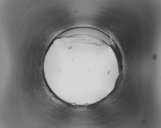 X0000116160385201001041119