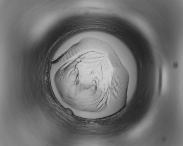 X0000116160387201001041119