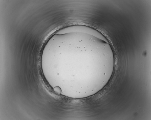 X0000116160390201001041119