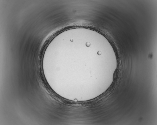 X0000116160392201001041118