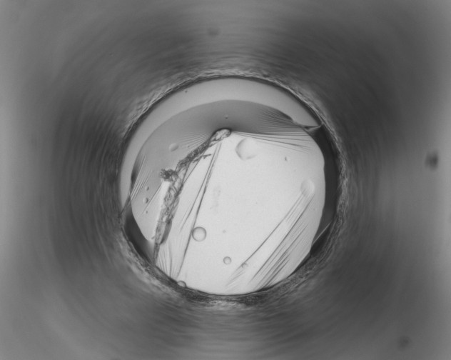 X0000116160393201001041118