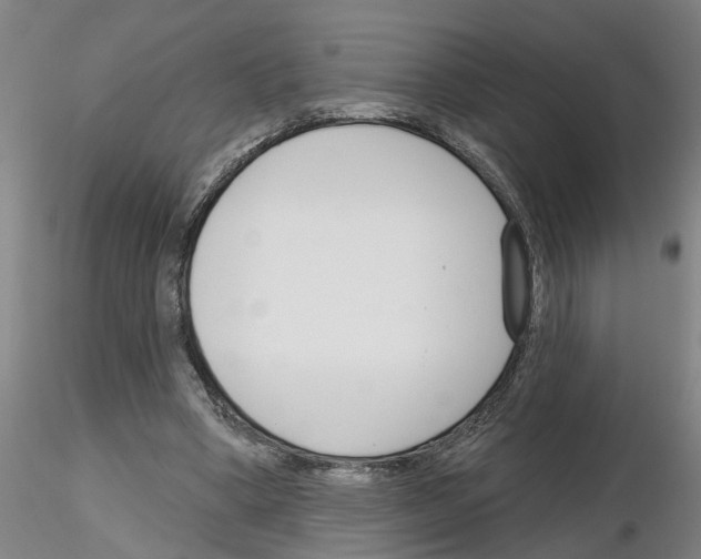 X0000116160394201001041118