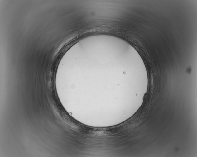 X0000116160396201001041118