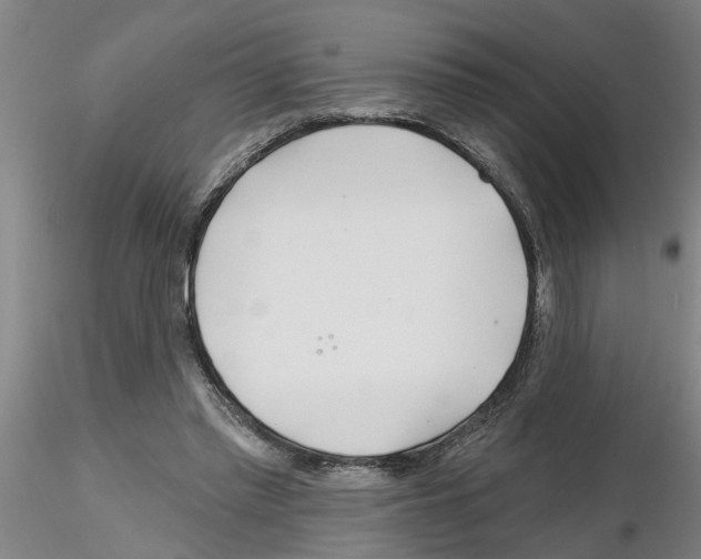 X0000116160397201001041118