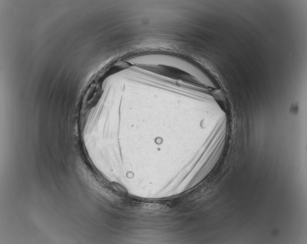 X0000116160399201001041118