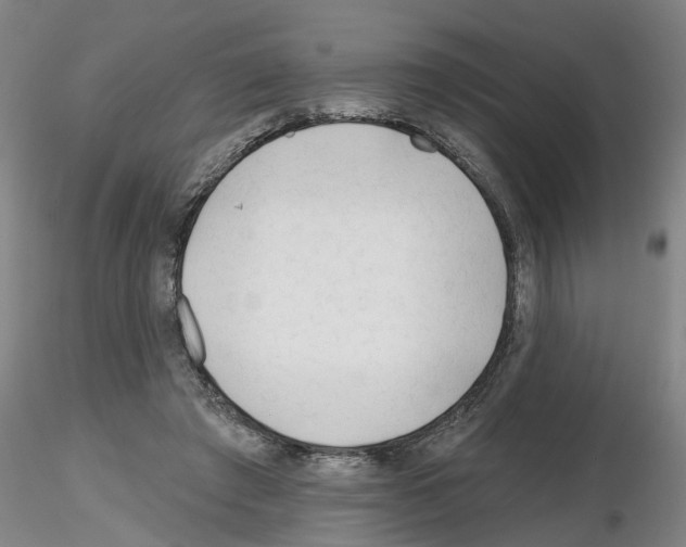 X0000116160401201001041118