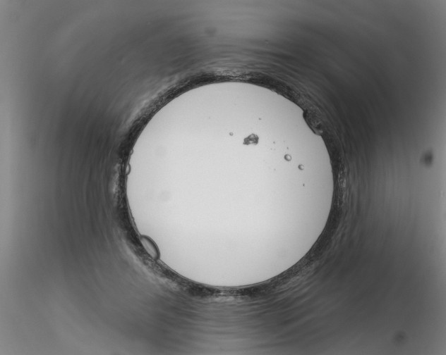 X0000116160404201001041118