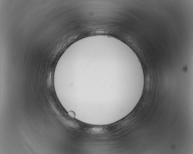 X0000116160406201001041118