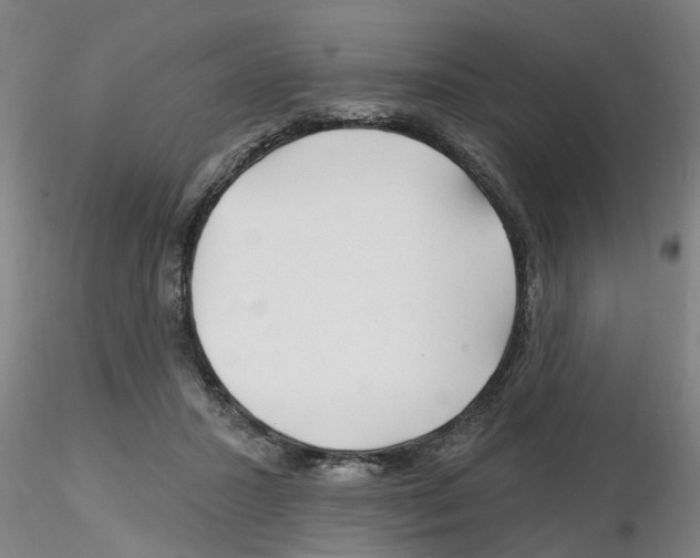 X0000116160407201001041118