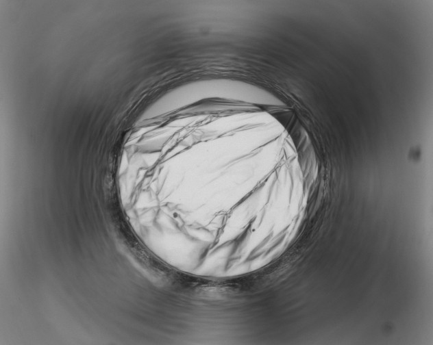 X0000116160408201001041118