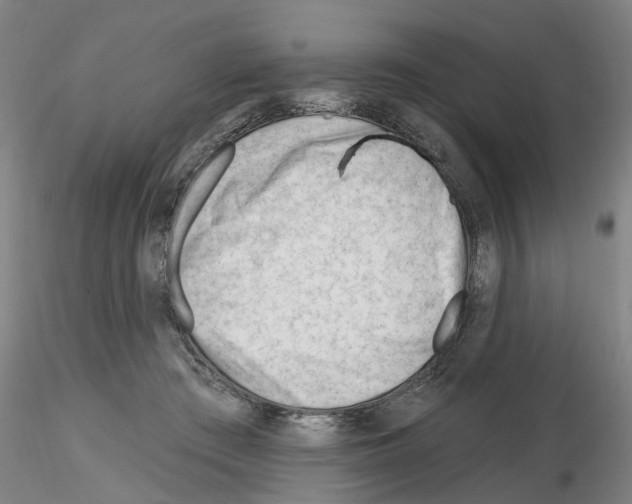 X0000116160409201001041118
