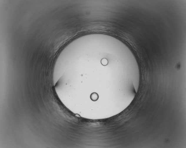 X0000116160411201001041118