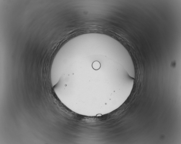 X0000116160417201001041118