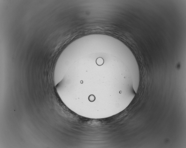 X0000116160419201001041118