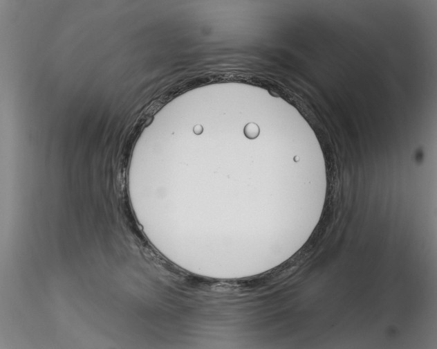 X0000116160420201001041118