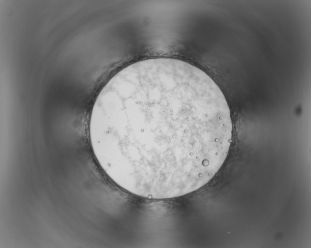 X0000116160423201001041118