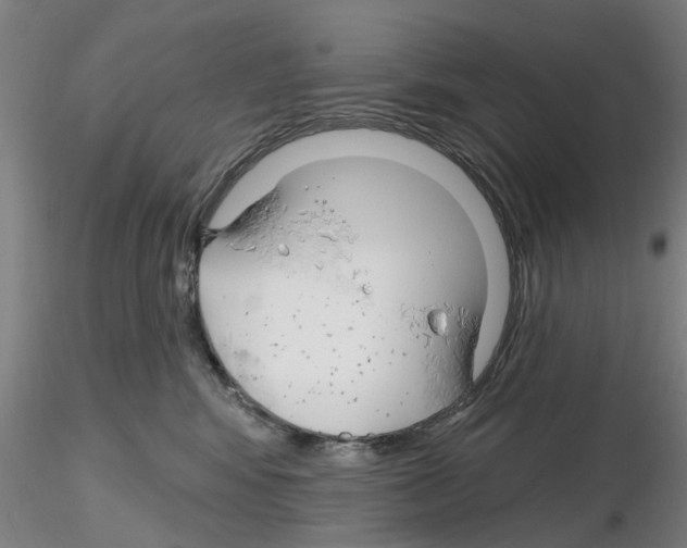 X0000116160424201001041118