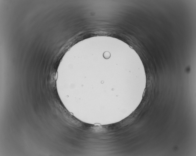 X0000116160425201001041118