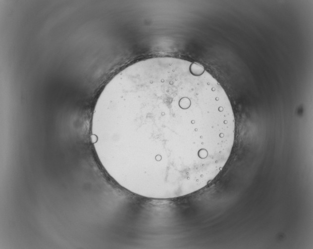 X0000116160427201001041118