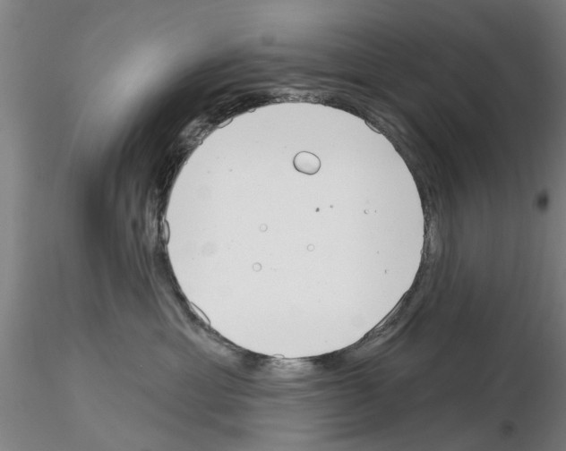 X0000116160429201001041118